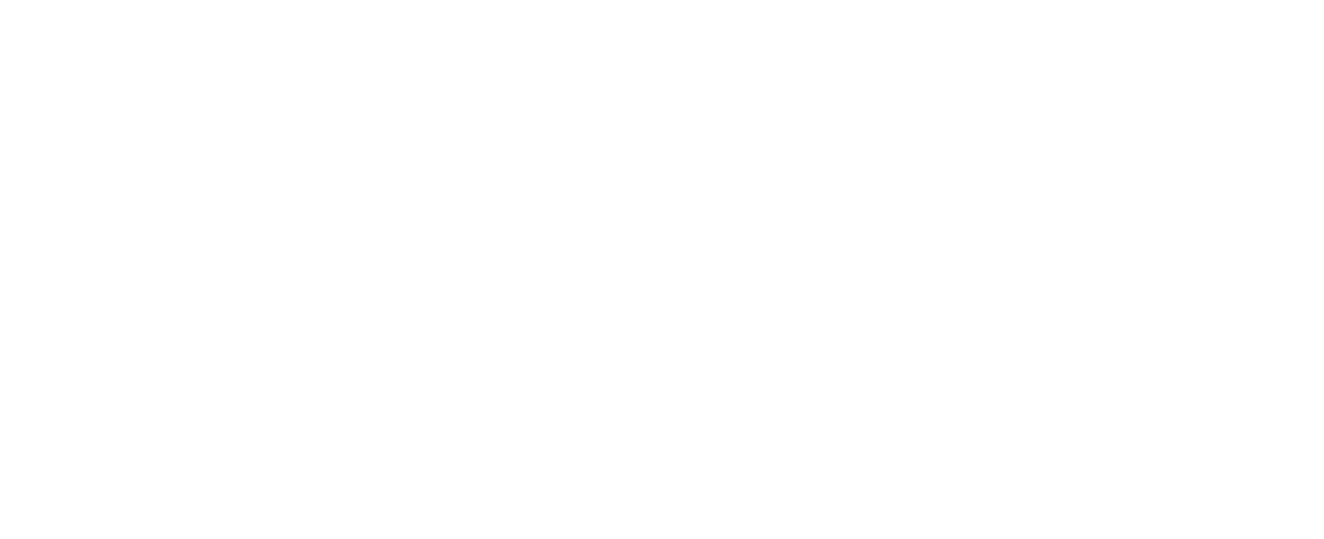 DEMON NOISE
